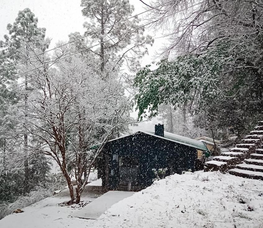 Mulberry House Almora Exterior foto